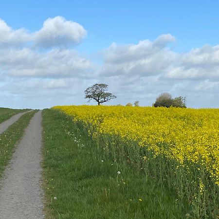 Blomstertantens Hus Villa Trelleborg Exteriör bild