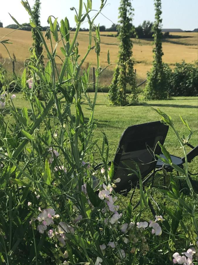 Blomstertantens Hus Villa Trelleborg Exteriör bild