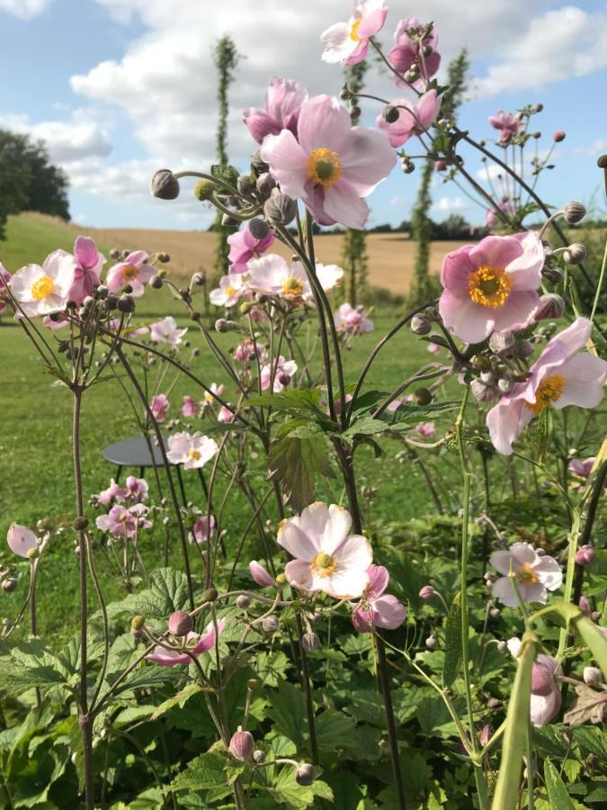 Blomstertantens Hus Villa Trelleborg Exteriör bild