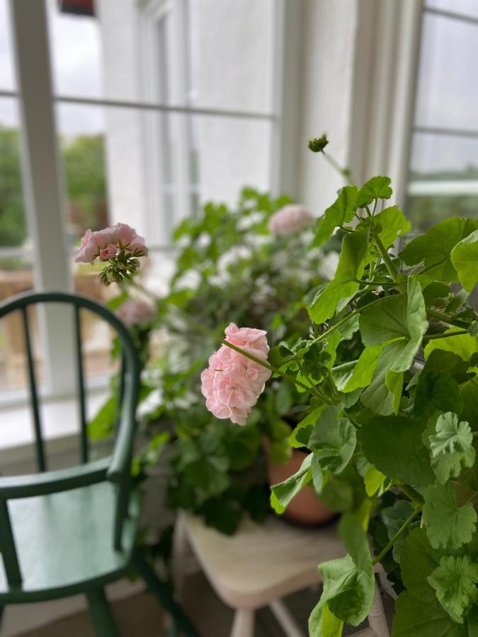 Blomstertantens Hus Villa Trelleborg Exteriör bild