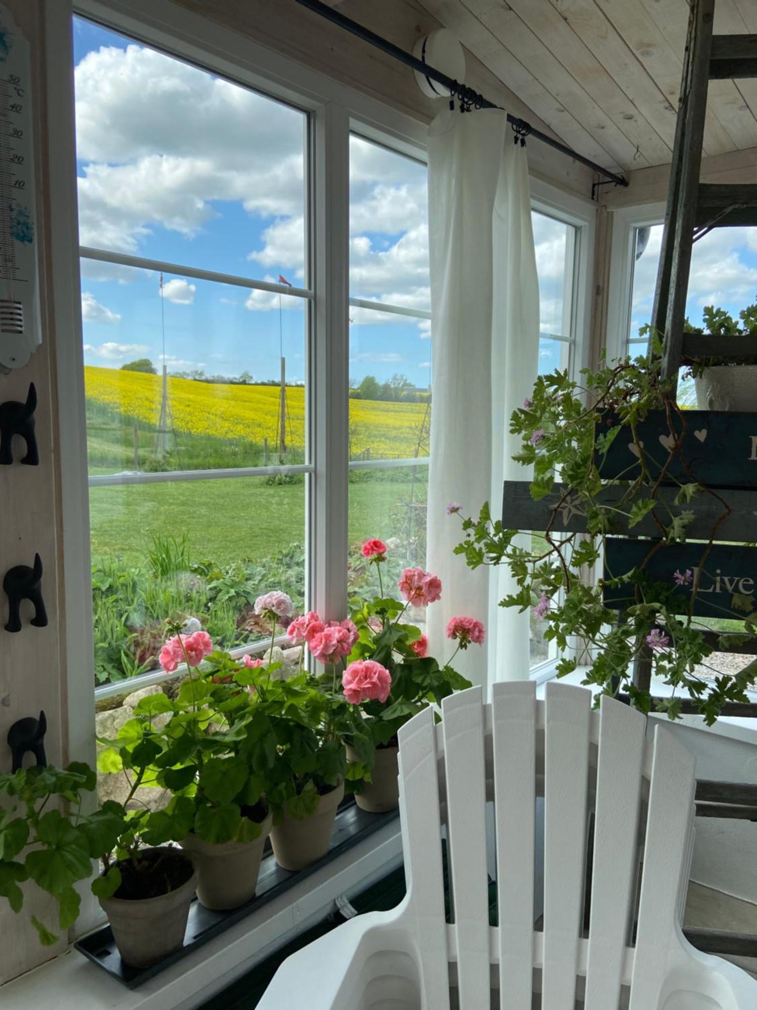 Blomstertantens Hus Villa Trelleborg Exteriör bild