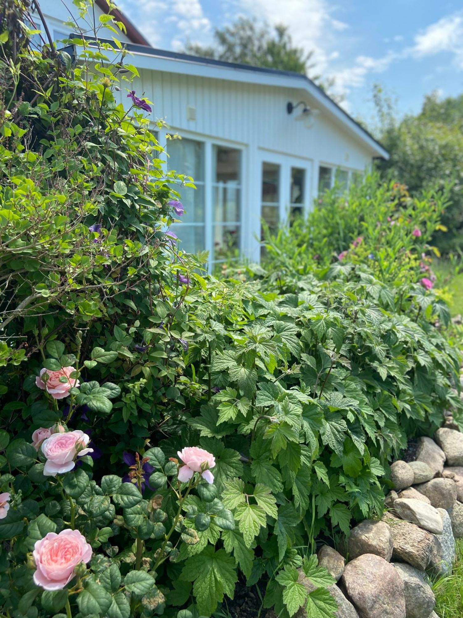 Blomstertantens Hus Villa Trelleborg Exteriör bild