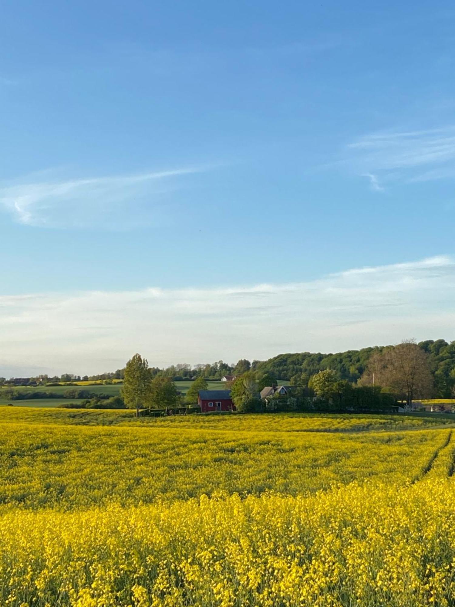 Blomstertantens Hus Villa Trelleborg Exteriör bild