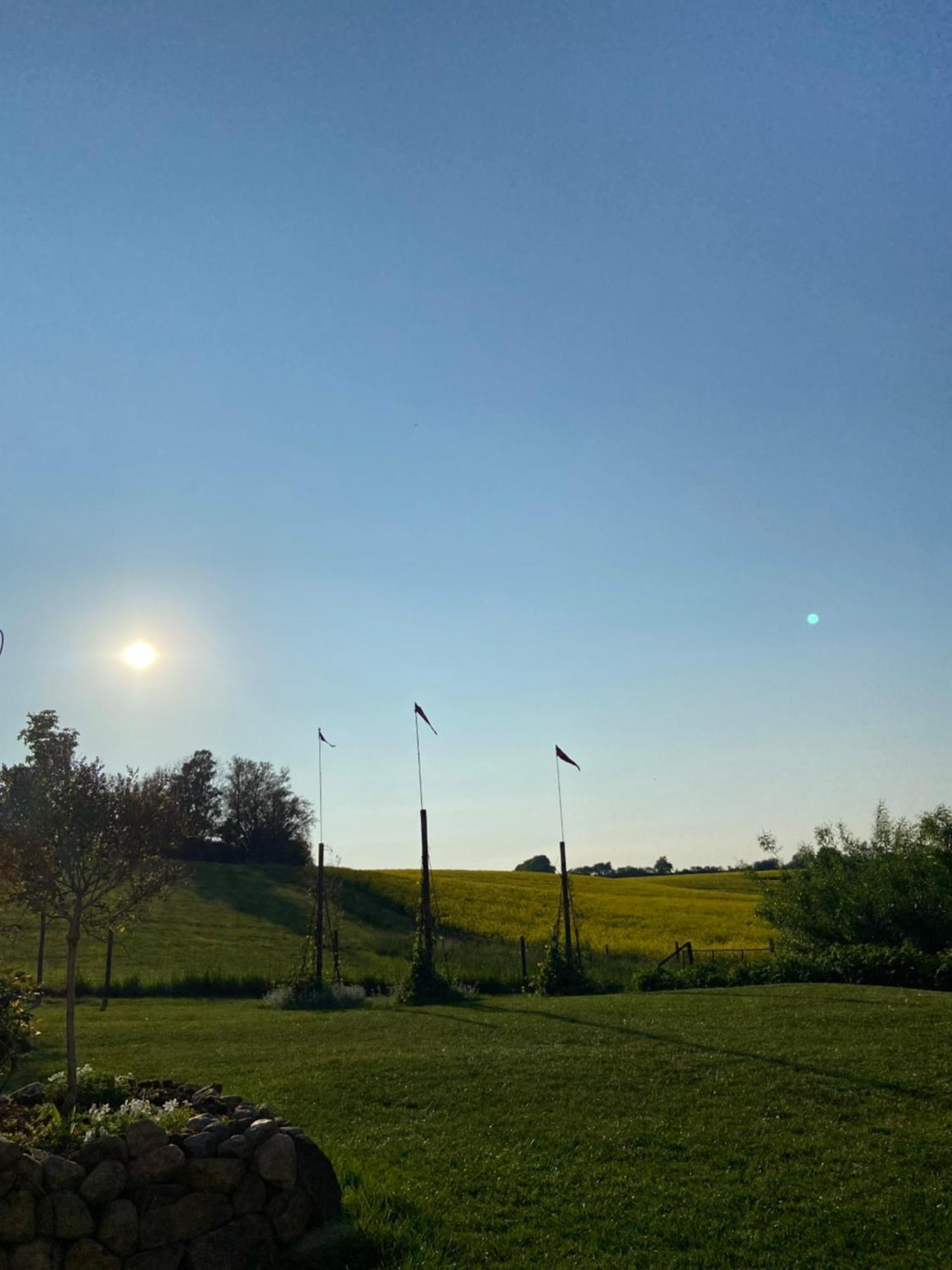 Blomstertantens Hus Villa Trelleborg Exteriör bild