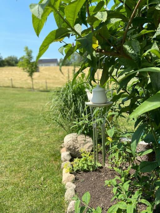 Blomstertantens Hus Villa Trelleborg Exteriör bild