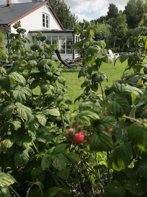 Blomstertantens Hus Villa Trelleborg Exteriör bild